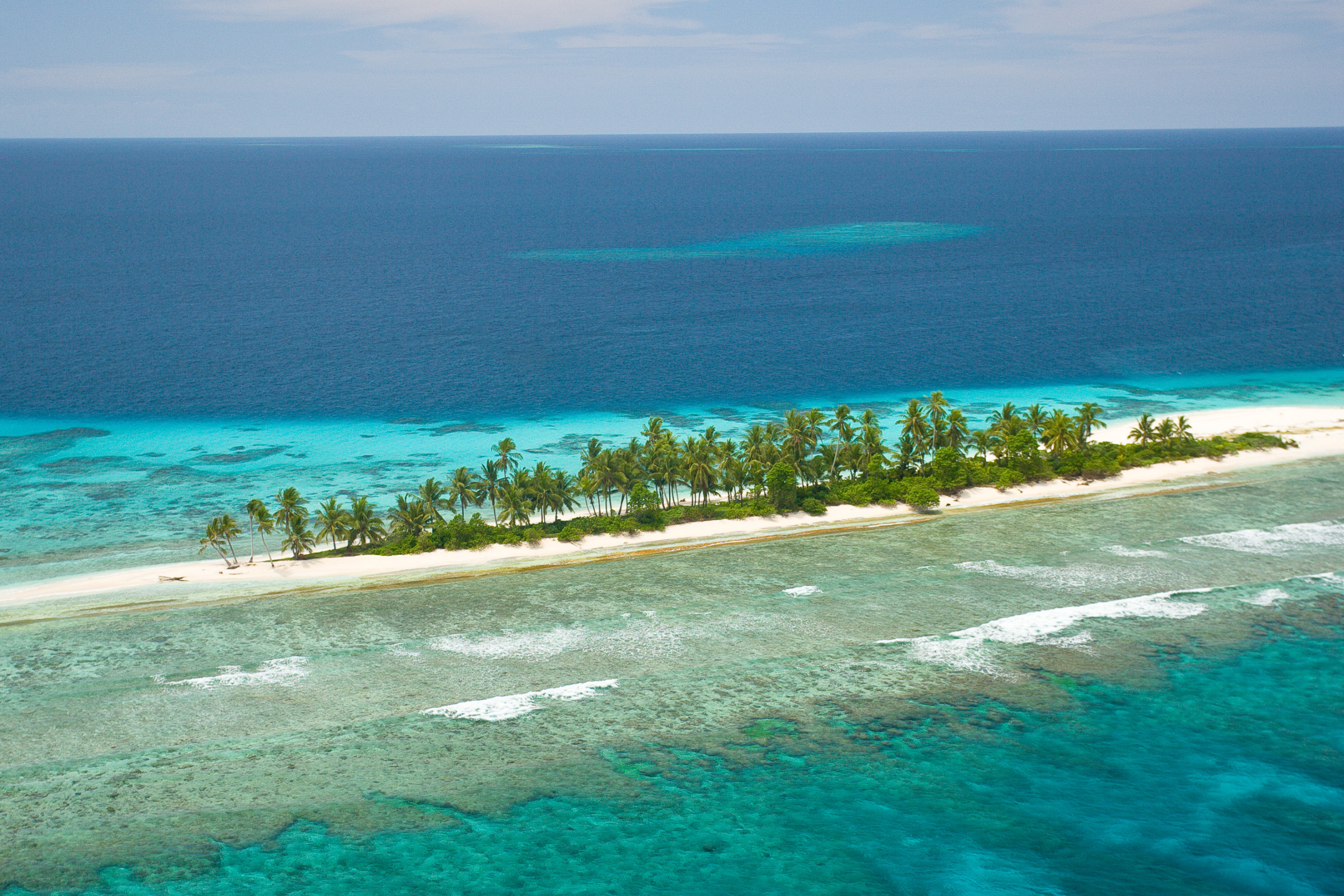 lusancay islands (4).webp